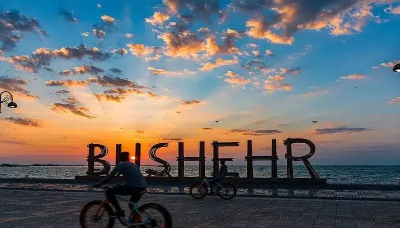 فروشگاه ته لنجی بوشهروند